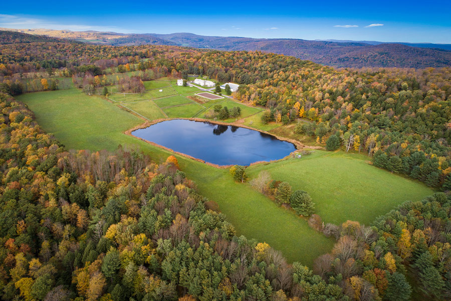 335-Acre Equestrian Estate in Central New York to be Auctioned